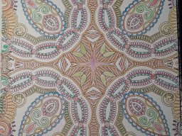 whatsapp image 2026-01-07 at 16.43.02